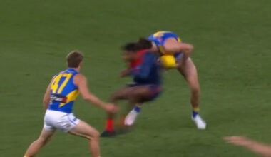 Brisbane Lions