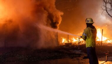 Worst Start to Wildfire Season Raises Alarm as El Niño Threatens