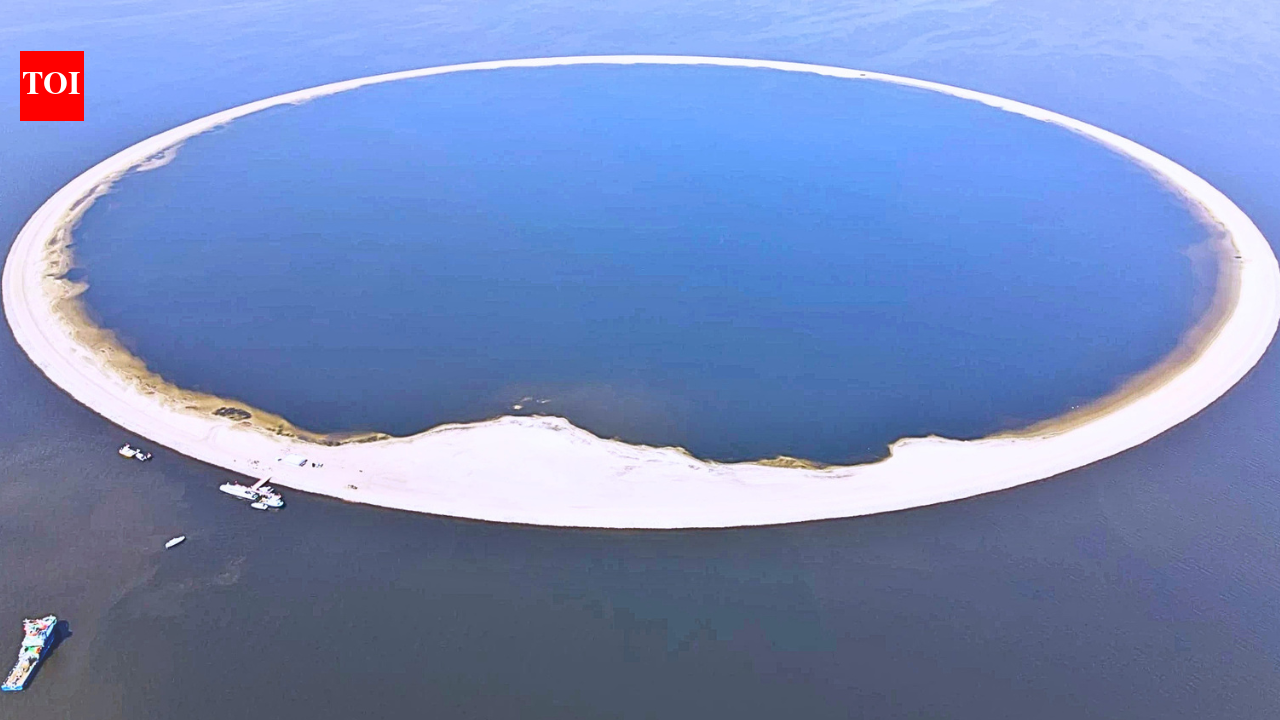 Protecting Life: Poland spent millions on an artificial island to protect rare birds and conserve wildlife | World News