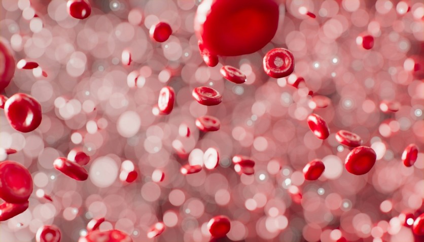 New Research Finds Certain Disease-Causing Bacteria Feeds on Human Blood's Serum