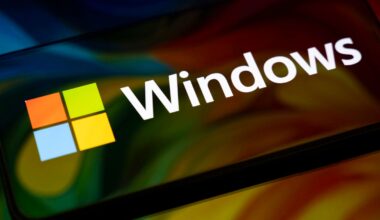 Microsoft Windows Alert—Angry Hacker Drops 2 New Zero-Day Exploits