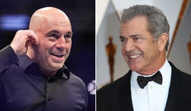 Mel Gibson's Joe Rogan spot helped ivermectin cancer prescriptions spike