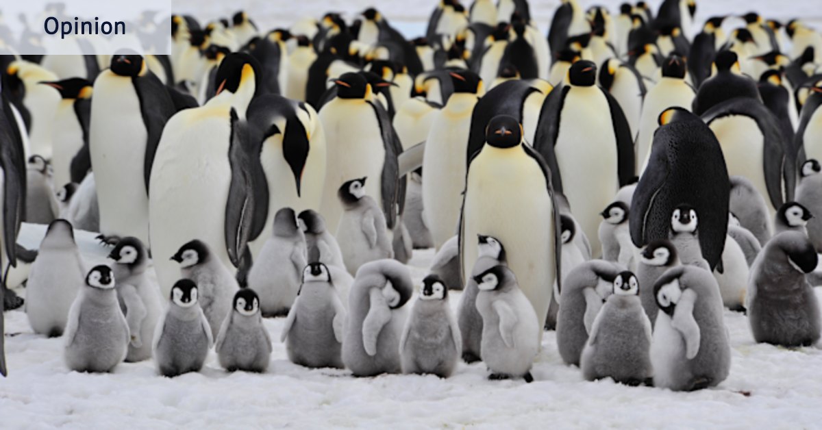 Humanity’s endangered, so let’s take a tip from the penguins