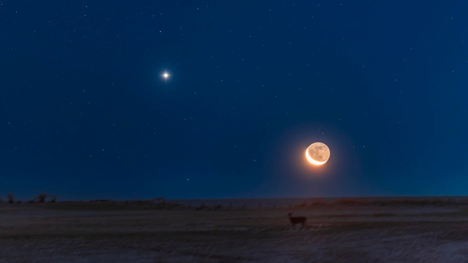 Don’t Miss Monday’s Must-See Sky Show As A Crescent Moon Cuddles Venus