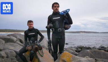 NSW government funds Aboriginal-led south coast sea urchin enterprise with $1.48m grant