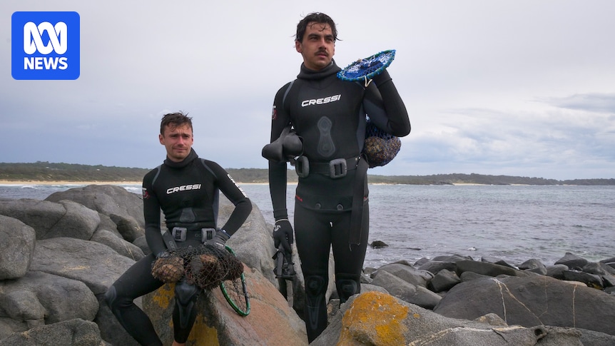 NSW government funds Aboriginal-led south coast sea urchin enterprise with $1.48m grant