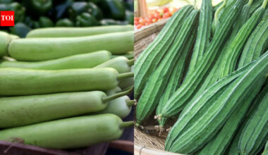 Lauki vs Tori: Which has more nutrition for summer and 5 interesting ways to eat them