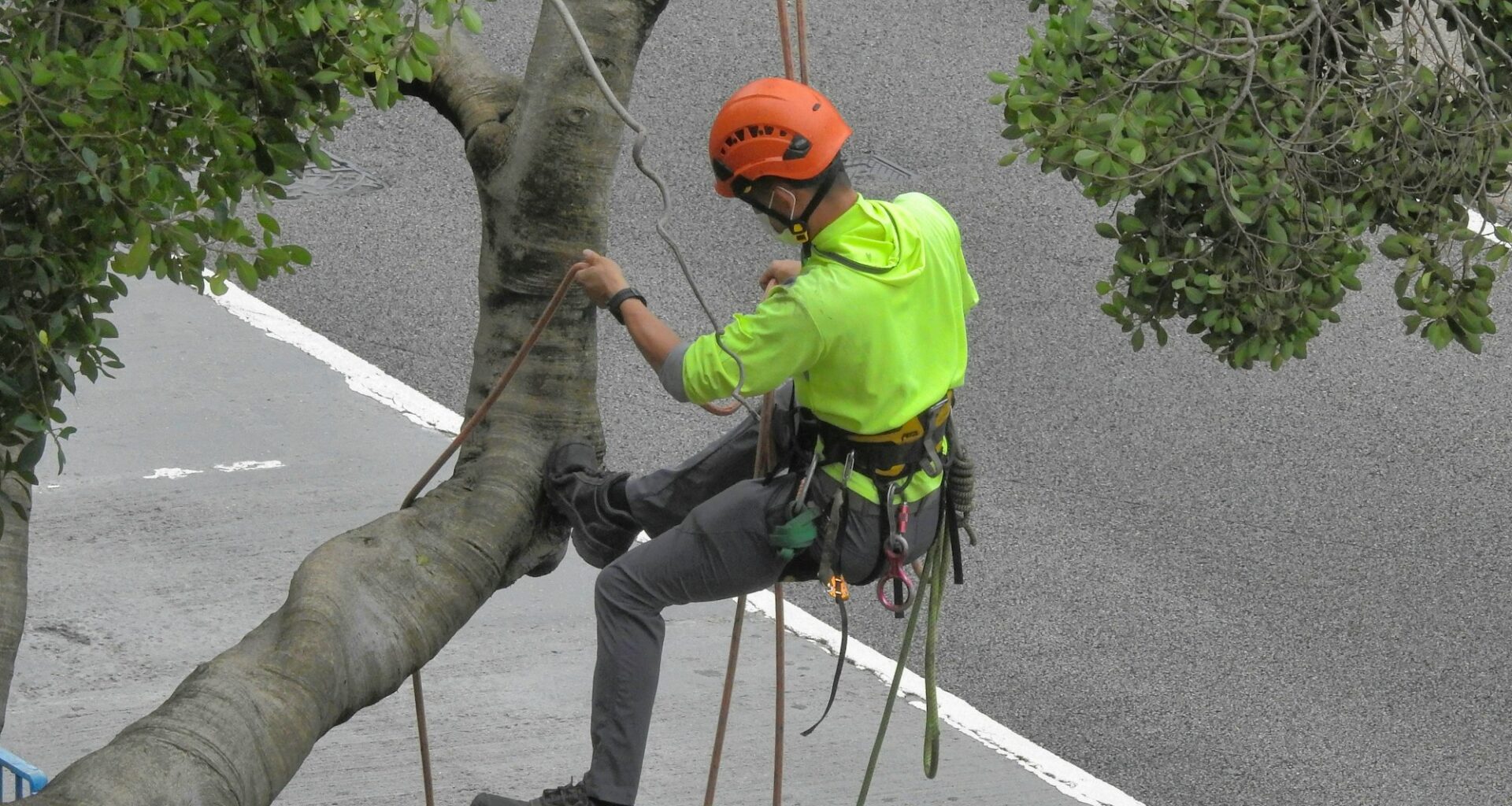 Maple Leafs trim the executive tree