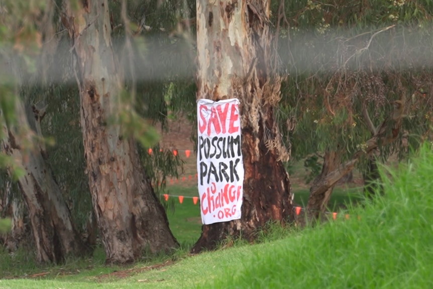 A tree with a sign on it saying Save Possum Park