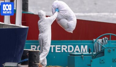 Hantavirus-stricken cruise ship docks in the Netherlands for disinfection