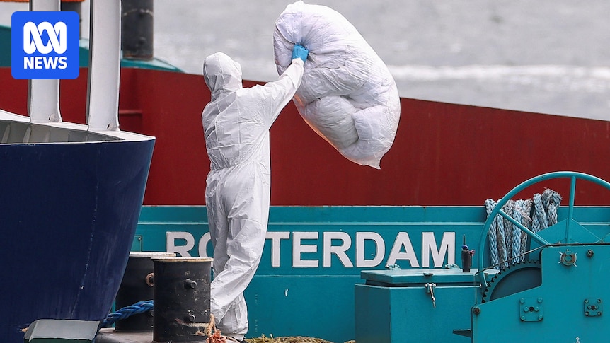 Hantavirus-stricken cruise ship docks in the Netherlands for disinfection