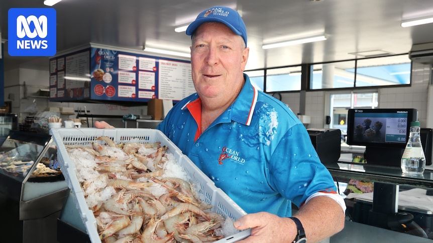 Banana prawn season cut short for major operator due to strong catch numbers