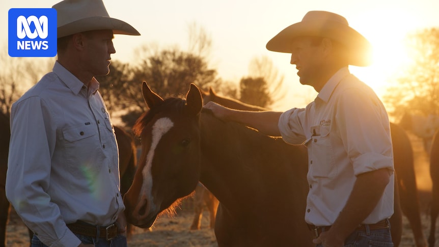 Australia's largest organic meat producer Hewitt to acquire Nolan Meats