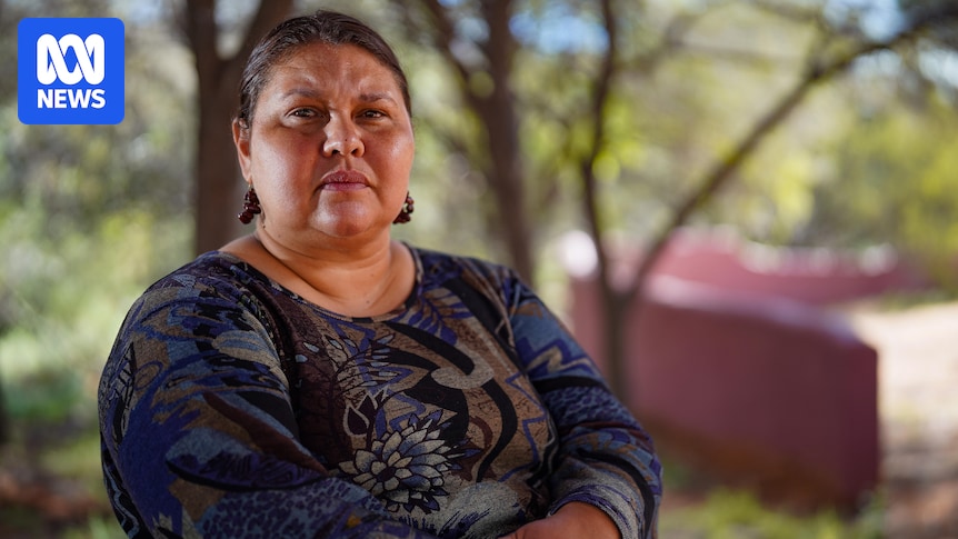 Former senior NT child protection staffers speak out amid sector's condemnation of legislative changes