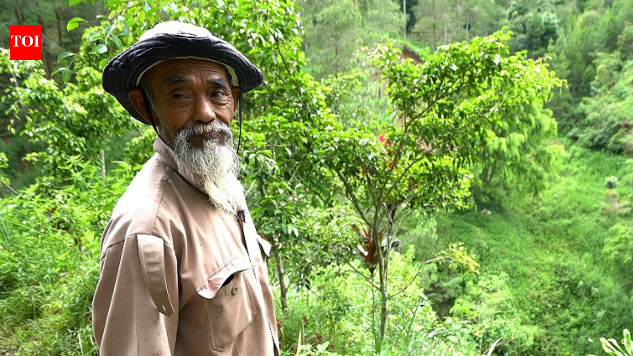 He sold his goats to buy tree seedlings and transformed barren hills into a forest: Meet Mbah Sadiman