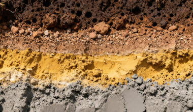 Frontiers in Science: How AI could help scientists secure soil—a vital global resource