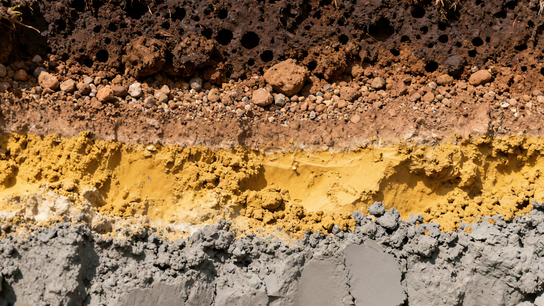 Frontiers in Science: How AI could help scientists secure soil—a vital global resource