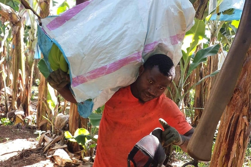 John Yalu banana farm