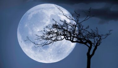 See A Rare ‘Blue Moon’ Rise After Sunset This Week