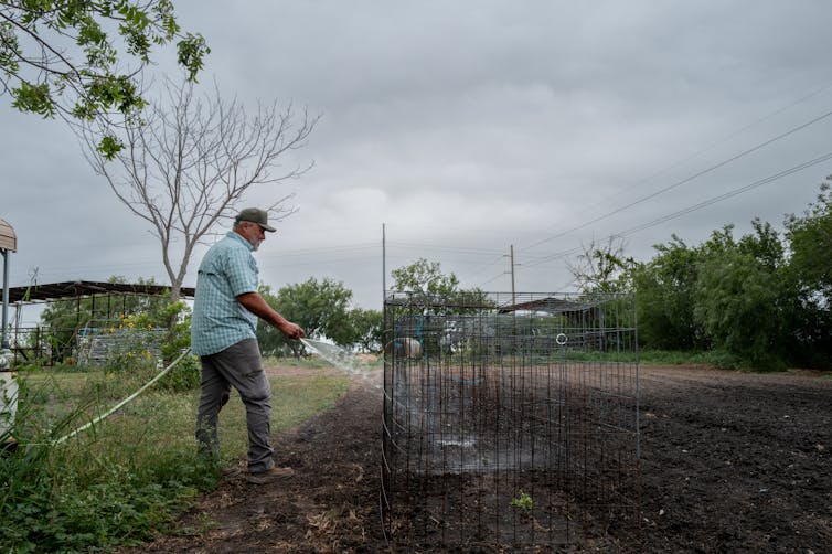 A man sprays plants with a hose.
