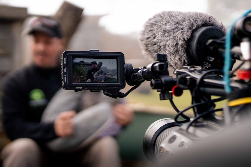 A man holding a wombat and being filmed by a camera man