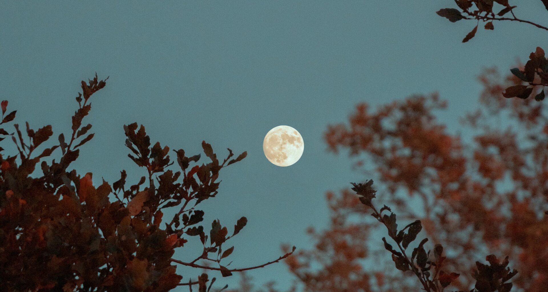 A rare blue micromoon will rise above Sydney this weekend