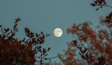 A rare blue micromoon will rise above Sydney this weekend