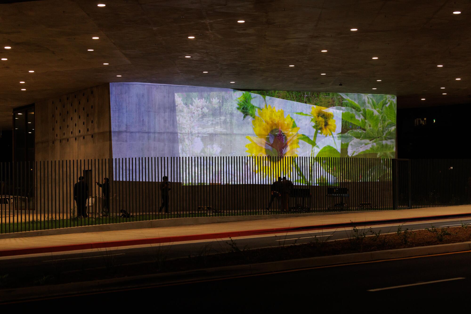 A video projection of flowers on a concrete wall.