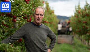 Can farmers become less reliant on synthetic fertiliser? Some are trying