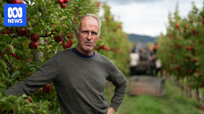 Can farmers become less reliant on synthetic fertiliser? Some are trying