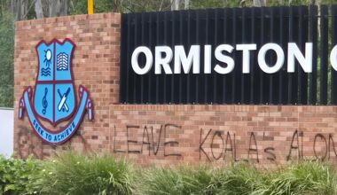 Ormiston College koalas: Bleijie backs bush clearing as tracked koala wanders onto site