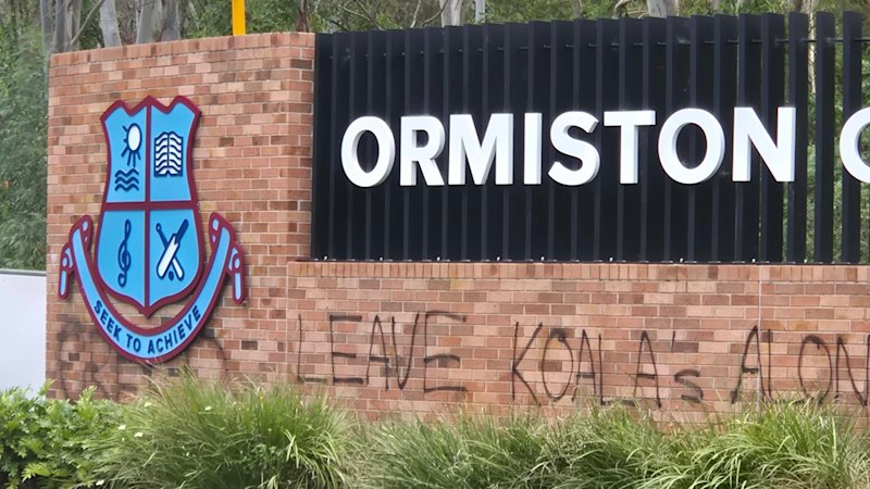 Ormiston College koalas: Bleijie backs bush clearing as tracked koala wanders onto site