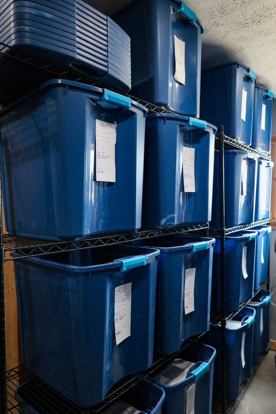 Big, blue, plastic bins are stacked on a shelf reaching 4 bins wide and 4 bins high. Each one has a paper label taped to the front indicating various feeding, hatching, harvesting, and egg collection times.