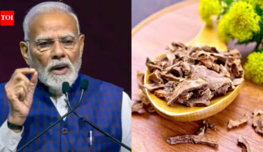 What is Solo, that PM Narendra Modi called modern-day 'Sanjeevani': 4 ways to include it in daily meals