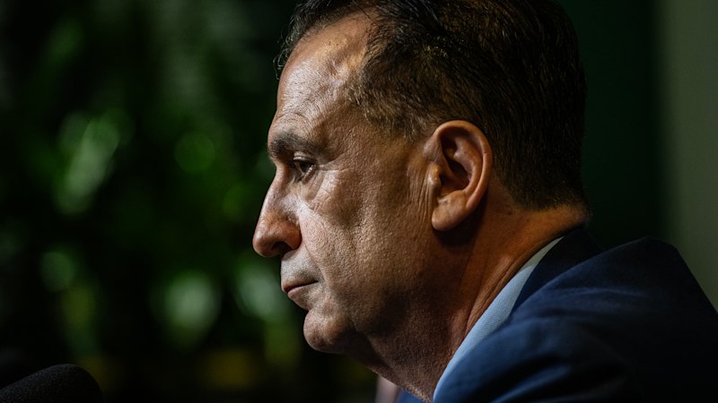 Peter V’landys: Inside the audacious idea of one man ruling the NRL