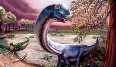 Thailand discovers Southeast Asia’s biggest dinosaur