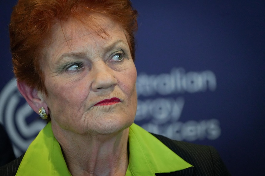 One Nation leader Pauline Hanson at a media conference.