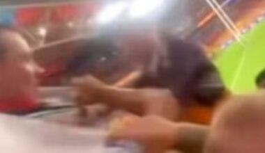 NRL fans set for bans over Magic Round brawl at Suncorp Stadium