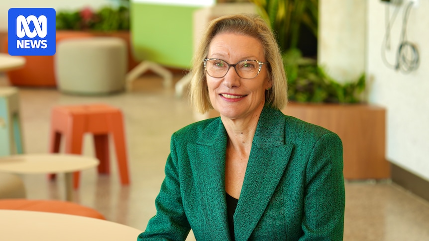 CIT CEO misled board over TAFE misconduct investigation during recruitment, inquiry finds