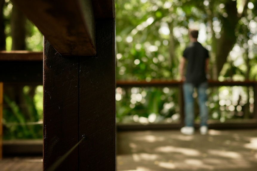 A man looking out over a deck