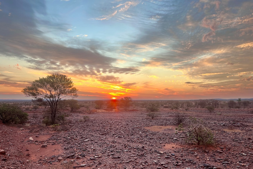 Sunset near Meekatharra in the outback.
