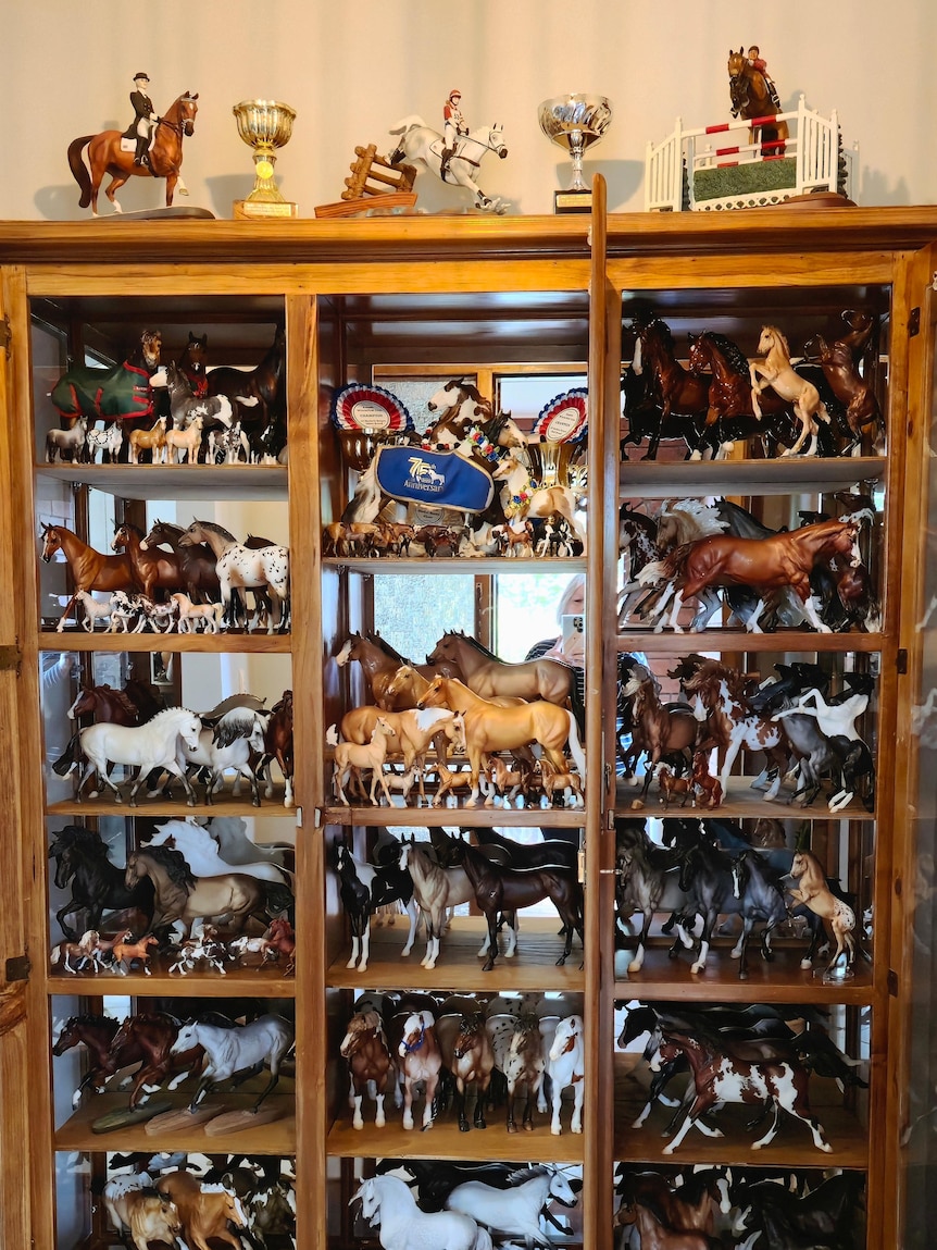 Cabinet with model horses inside and on top