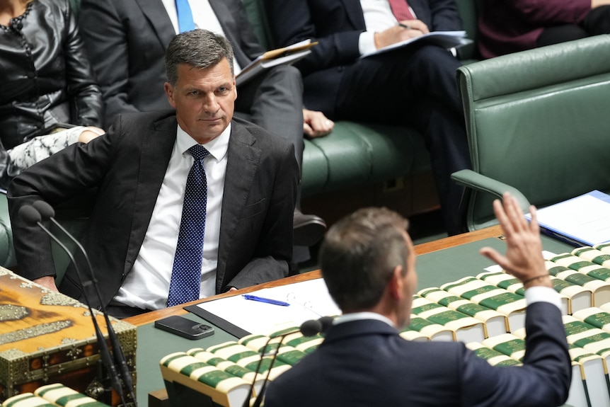 Angus Taylor and Jim Chalmers