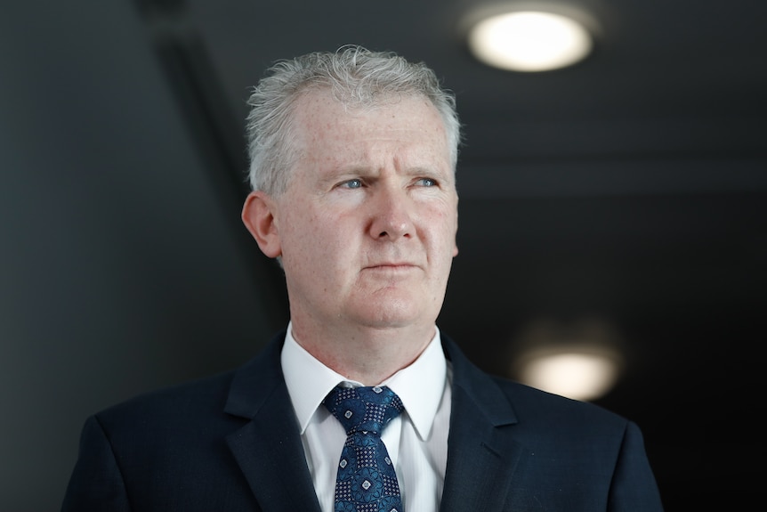 A close up image of Tony Burke in a suit and tie. 
