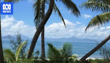 Man dies after shark attack in Far North Queensland
