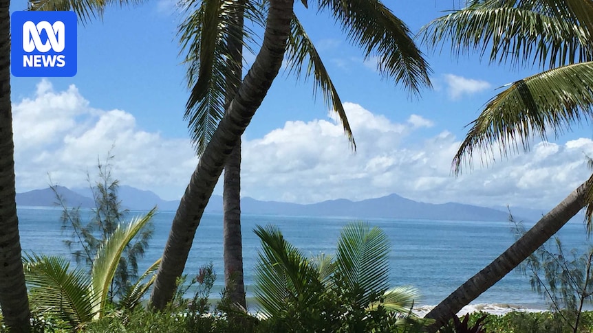 Man dies after shark attack in Far North Queensland