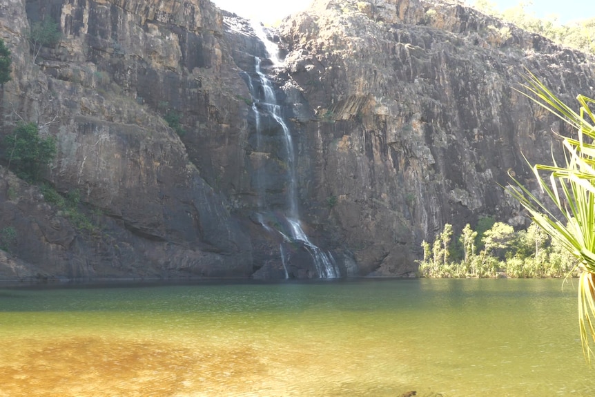 Large escarpment with water running down it into a waterhole