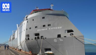 Holmes à Court family-owned Heytesbury buys 11 live export ships in major deal with Vroon