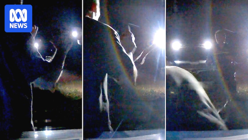 Police criticised for using tasers on people in inappropriate and unnecessary situations