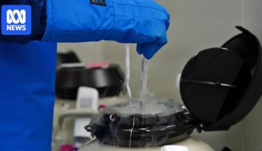 Prisoner loses battle to freeze her eggs while serving 10-year sentence